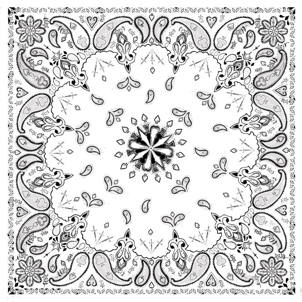 ZAN Bandanna White Paisley B004