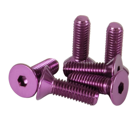 NRG Steering Wheel Screw Upgrade Kit (Conical) - Purple SWS-100PP