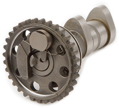 HOT CAMS Racing Cam Stage 2 4166-2EX