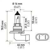 Hella 9006 12V 55W Halogen Bulb LA9006