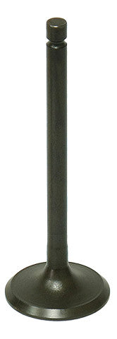 BRONCO Exhaust Valve AU-09191E