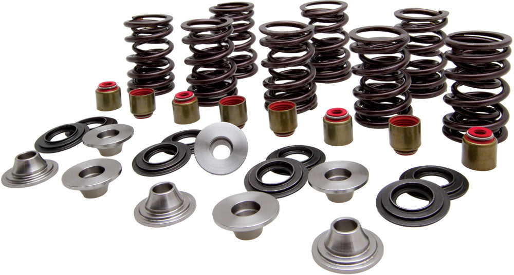 KPMIRacing Valve Spring Kit82-82450