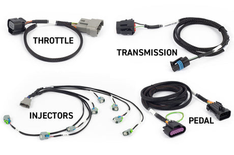 Haltech NEXUS Rebel LS Kit (Suits Gen IV) 6-Pin DBW Throttle/EV6 Injectors/Manual Transmission HT-220204