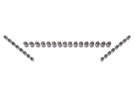 Ford Racing Ford GT and Mustang SVT 5.4L Lash AdjusterS M-6500-GT