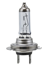 Hella H7 12V 55W PX26D HP 2.0 Halogen Bulbs LAH7 2.0TB