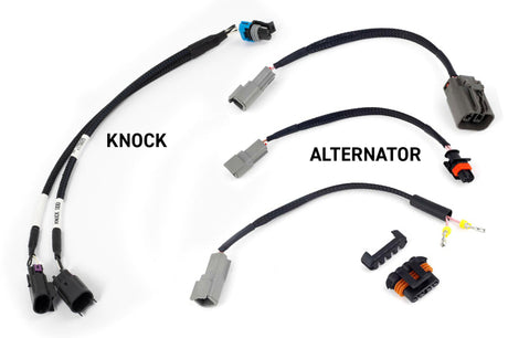 Haltech NEXUS Rebel LS Kit (Suits Gen III) Cable Throttle/EV1 Injectors/Manual Transmission HT-220201