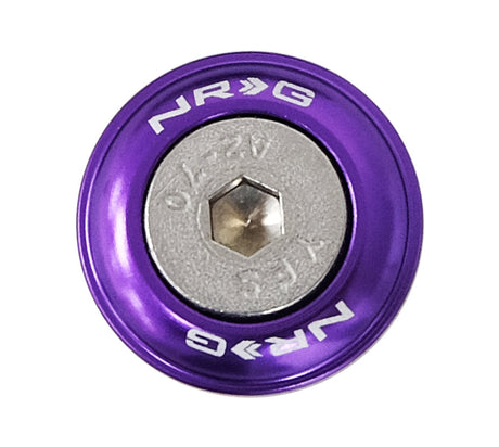 NRG Fender Washer Kit w/Rivets For Plastic (Purple) - Set of 10 FW-100PP