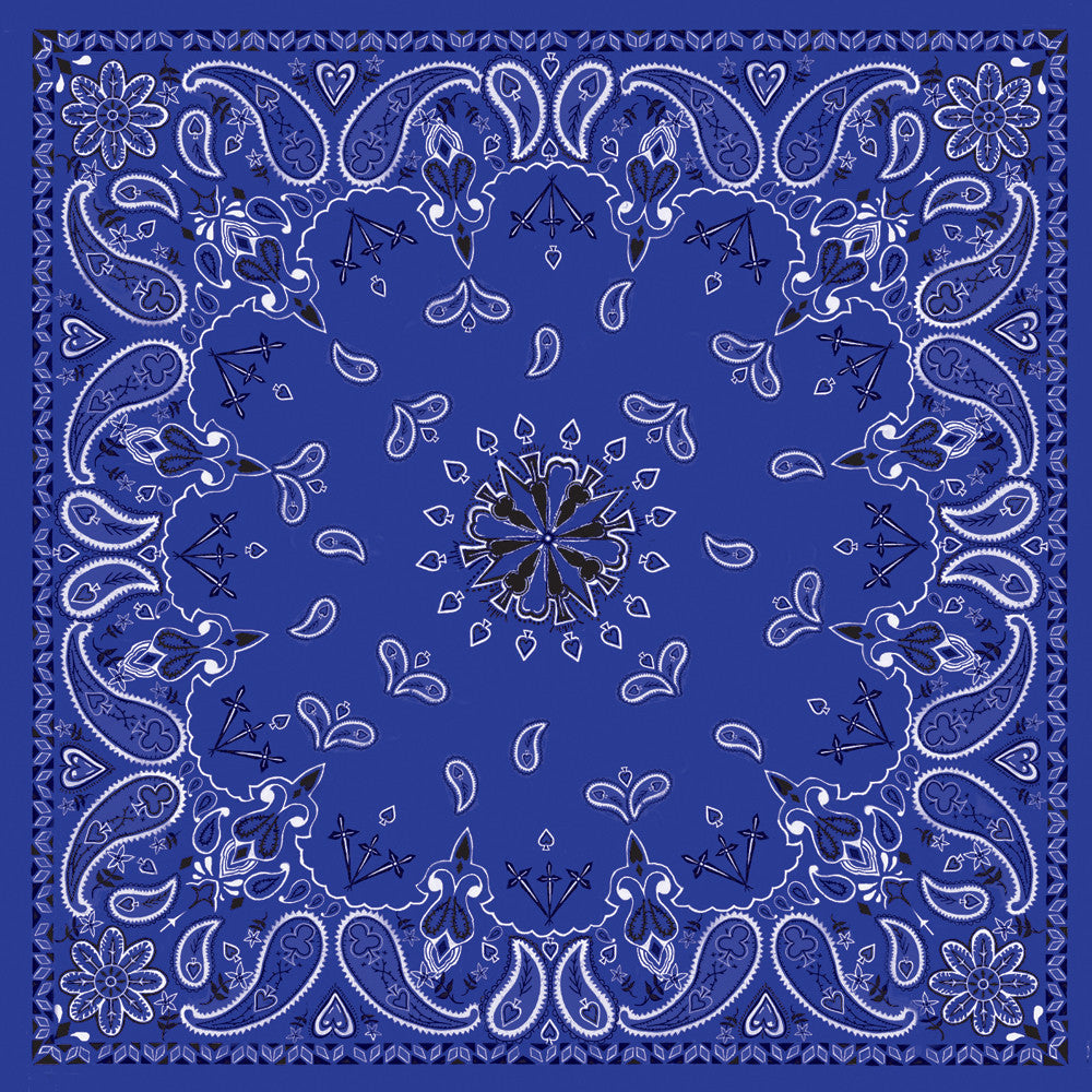 ZAN Bandanna Navy Paisley B002