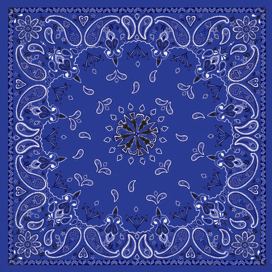 ZAN Bandanna Navy Paisley B002