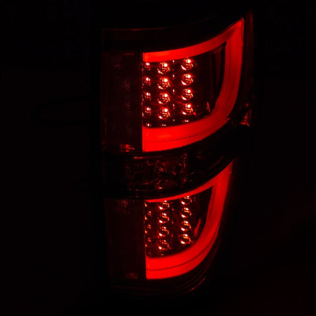 ANZO 2009-2013 Ford F-150 LED Taillights Chrome 311259
