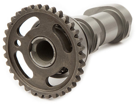 HOT CAMS Racing Cam Stage 3 2095-3IN