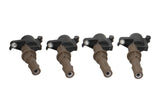 Ford Racing 4.6L/5.4L 3V IGNITION Coil Set M-12029-3V
