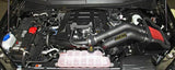 AEM 2015 Ford F-150 3.5L V8 Cold Air Intake System 21-8128DC