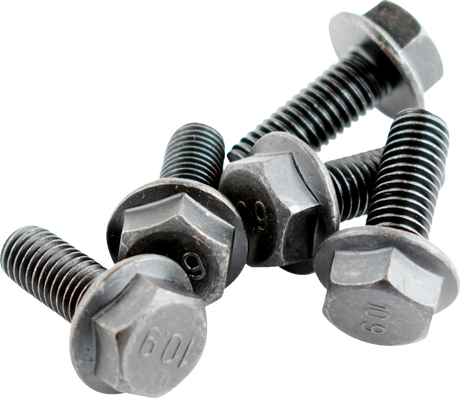 WSM Speed Sensor Magnet Bolt - Pack Of Six 014-907