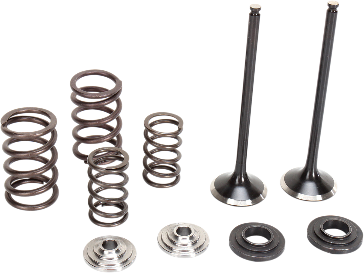 MOOSE RACING Valve and Spring Kit M96-96460