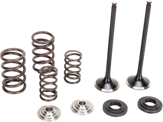 MOOSE RACING Valve and Spring Kit M96-96460