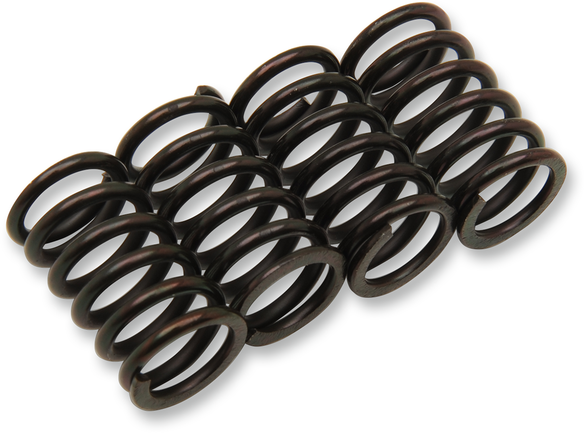 BARNETT Clutch Spring Kit 501-40-04058