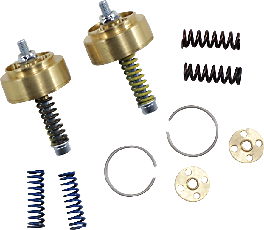 Emuladores de horquilla de cartucho de válvula dorada RACE TECH para Street/Track/Touring - 41 mm FEGV S4101 