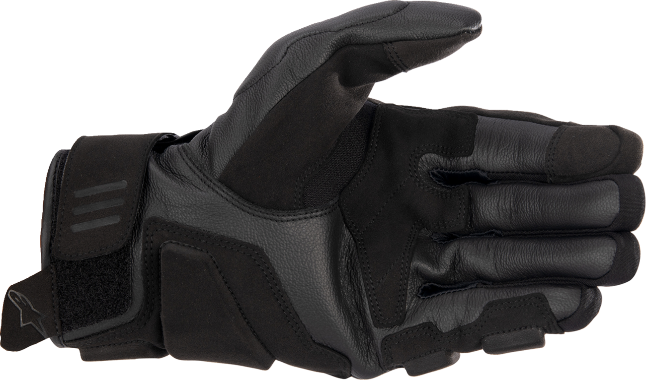 ALPINESTARS Phenom Gloves - Black/White - Medium 3501723-12-M