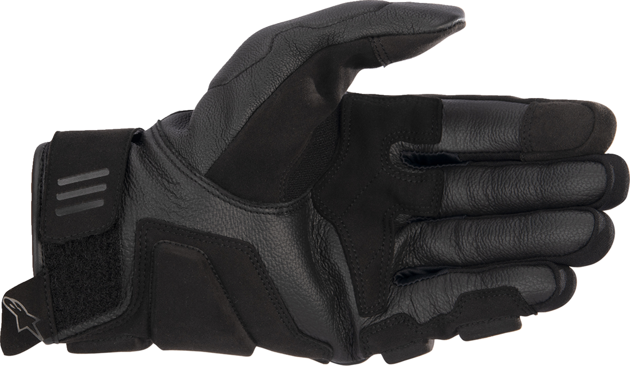 ALPINESTARS Phenom Air Gloves - Black/White - Large 3571723-12-L