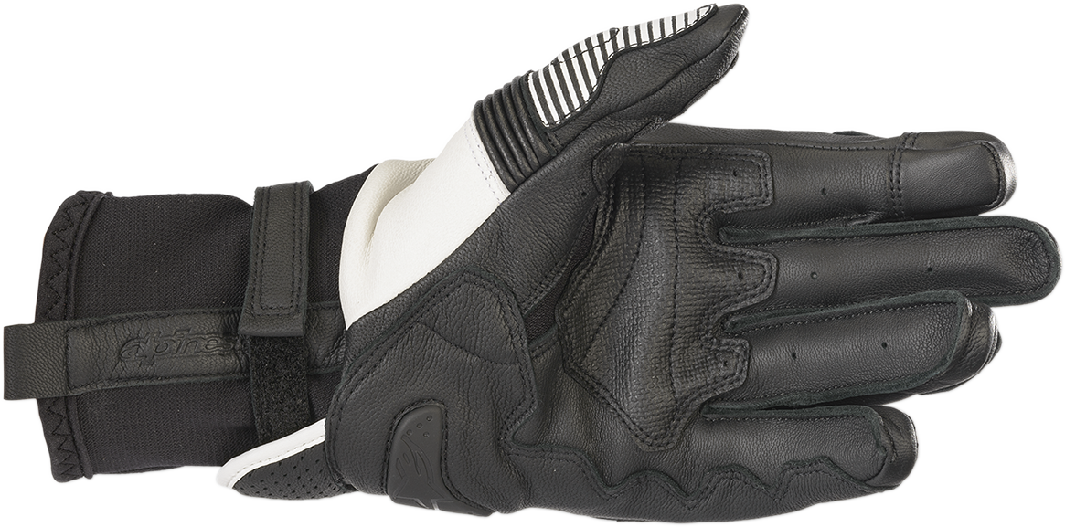 Guantes ALPINESTARS GPX V2 - Negro/Blanco - Grande 3567219-12-L 