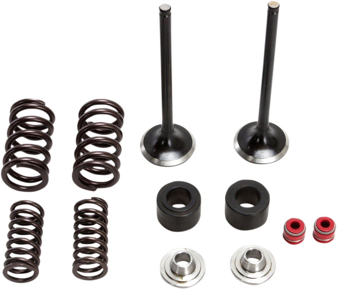 MOOSE RACING Valve and Spring Kit M30-32450