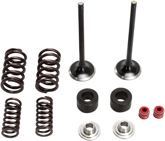 MOOSE RACING Valve and Spring Kit M30-32450