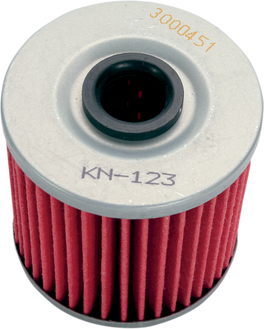 Filtro de aceite K&amp;N KN-123 