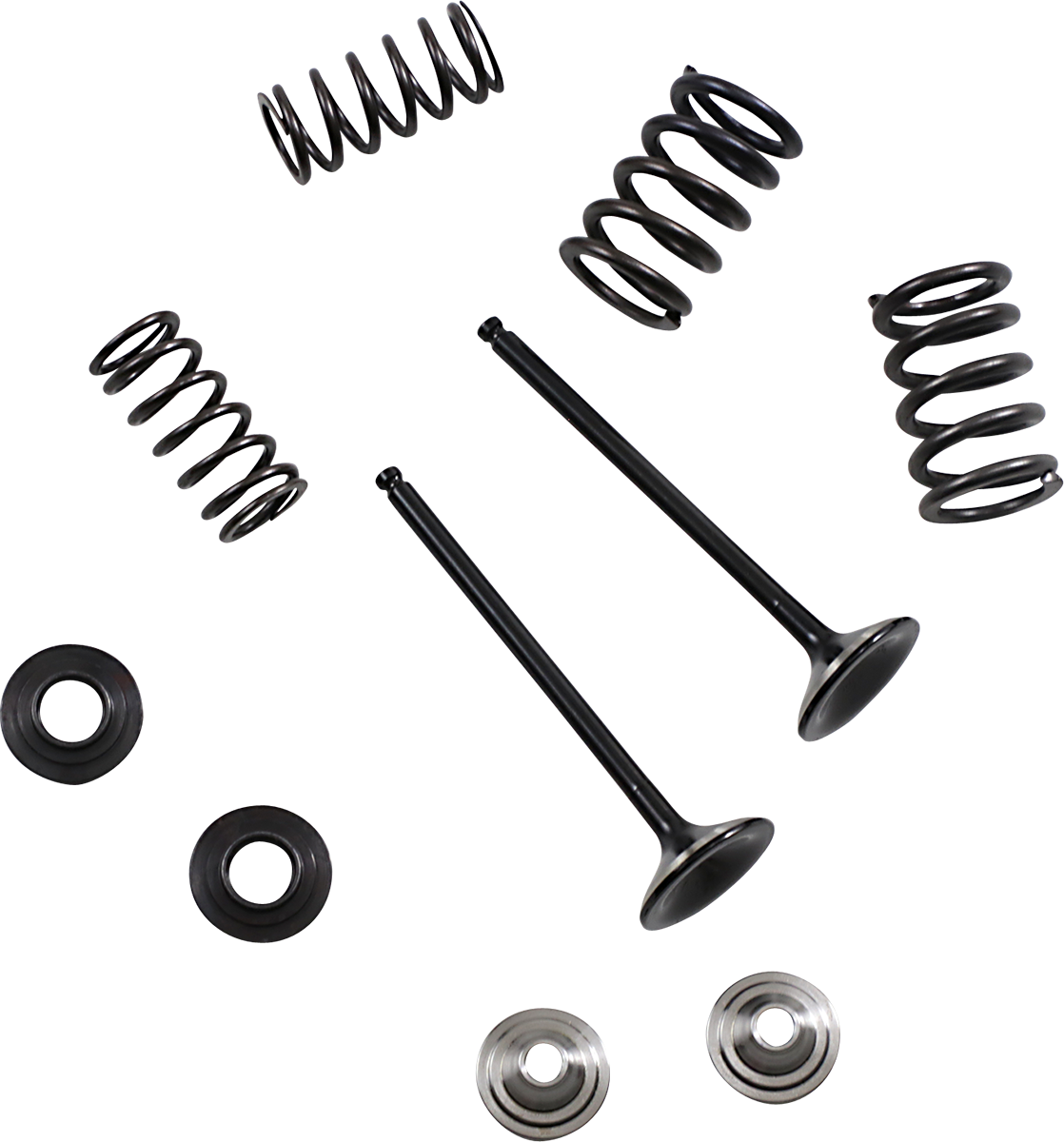 MOOSE RACING Valve and Spring Kit M80-82360