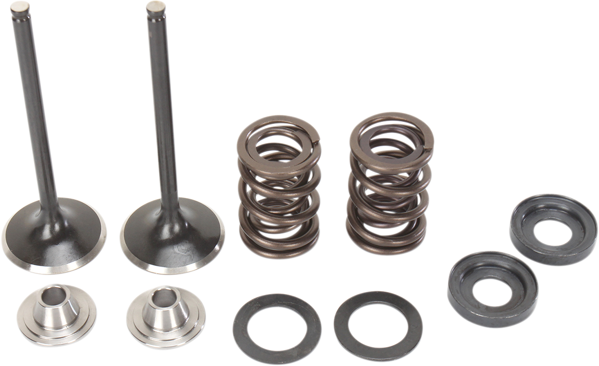 MOOSE RACING Valve and Spring Kit M96-96360