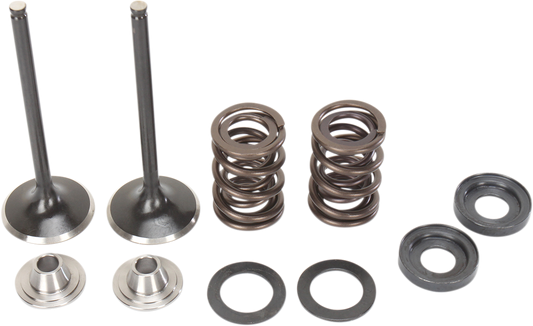 MOOSE RACING Valve and Spring Kit M96-96360