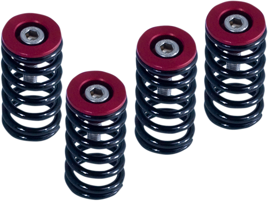 BARNETT Clutch Springs 519-25-06098