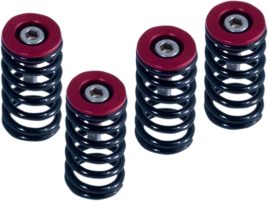 BARNETT Clutch Springs 519-25-06098