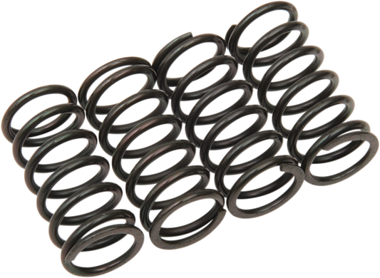 BARNETT Clutch Spring Kit 501-38-04132