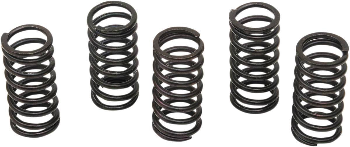 BARNETT Clutch Spring Kit 501-34-05122